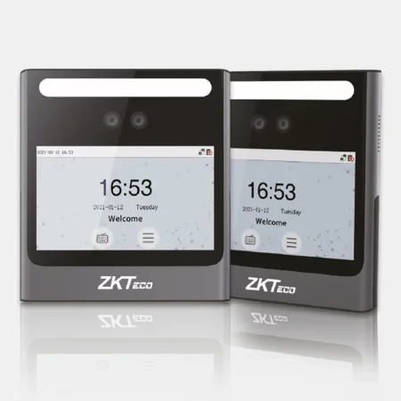 Lector Terminal Standalone EFACE-10